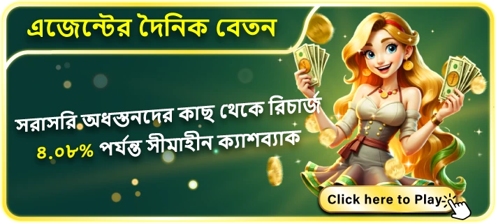 Agent Daily Salary